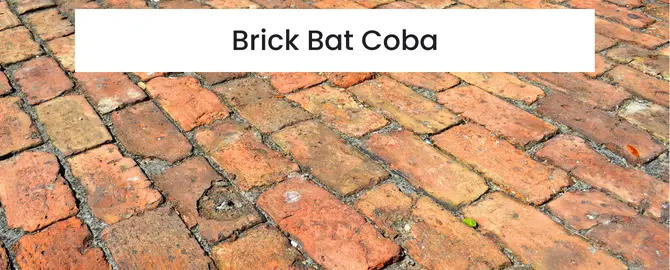 Brick Bat Coba