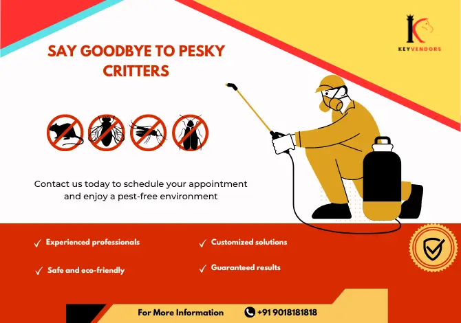 termite control in gurgaon